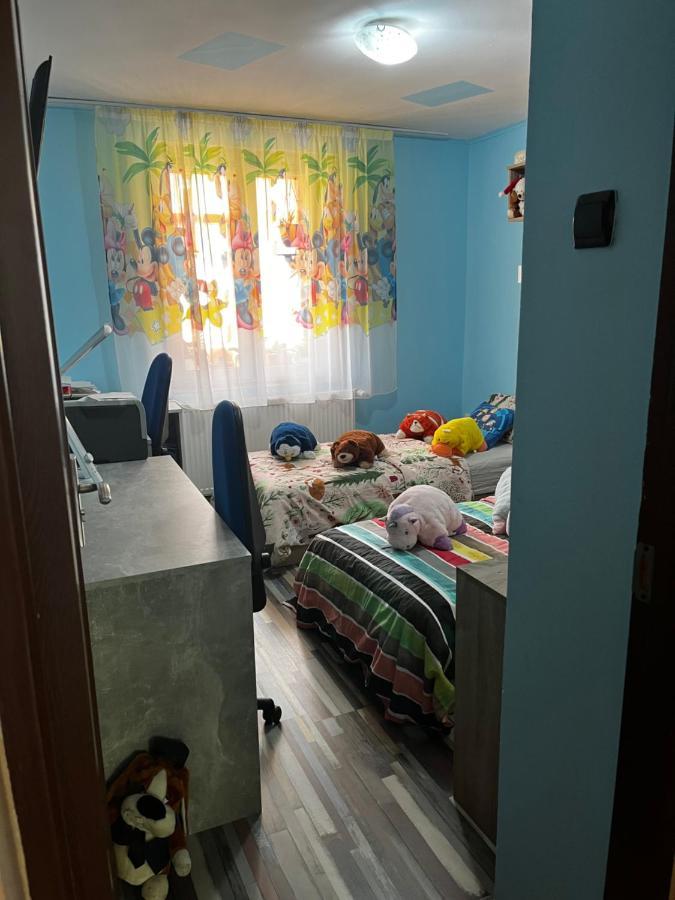 Apartament Maria 1 Băile Herculane Dış mekan fotoğraf