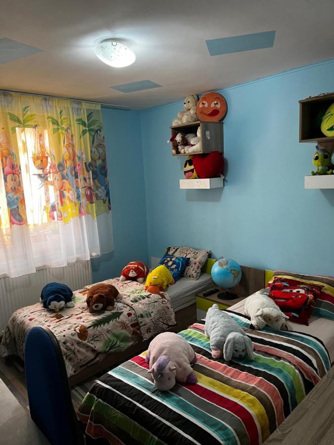 Apartament Maria 1 Băile Herculane Dış mekan fotoğraf